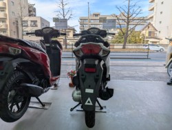 �z���_�f�B�I110�i���Q�����R�s�j�摜5