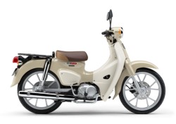 ホンダSuper Cub 110 Lite(愛媛県松山市)画像1