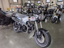 �z���_�_�b�N�X125�i���Q�����R�s�j�摜2