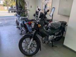 �z���_ICON e:�i���Q�����R�s�j�摜14