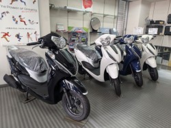 �z���_�X�y�C�V�[100�i���Q�����R�s�j�摜13