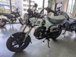 �z���_�_�b�N�X125�i���Q�����R�s�j�摜4