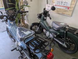 �z���_ICON e:�i���Q�����R�s�j�摜15