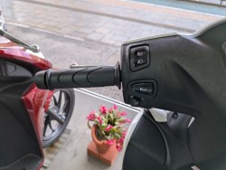 �z���_�f�B�I110�i���Q�����R�s�j�摜9