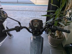 �z���_ICON e:�i���Q�����R�s�j�摜16