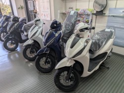 �z���_�f�B�I110�i���Q�����R�s�j�摜14