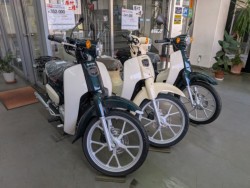 �z���_ICON e:�i���Q�����R�s�j�摜17