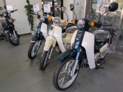 �z���_ICON e:�i���Q�����R�s�j�摜18