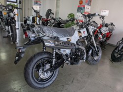 �z���_�_�b�N�X125�i���Q�����R�s�j�摜8