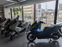 �z���_�X�y�C�V�[100�i���Q�����R�s�j�摜18