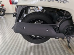 �z���_�W�����m�i���Q�����R�s�j�摜19