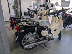 �z���_ICON e:�i���Q�����R�s�j�摜20