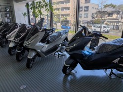 �z���_�f�B�I110�i���Q�����R�s�j�摜18