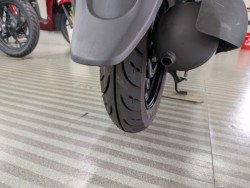 �z���_�W�����m�i���Q�����R�s�j�摜20