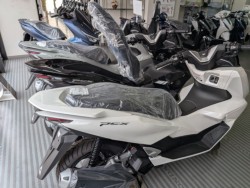 �z���_�X�y�C�V�[100�i���Q�����R�s�j�摜20