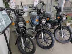 �z���_Dio110 Lite�i���Q�����R�s�j�摜17