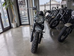 �z���_�����L�[125�i���Q�����R�s�j�摜2