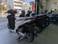 �z���_ICON e:�i���Q�����R�s�j�摜11