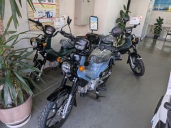 �z���_ICON e:�i���Q�����R�s�j�摜13