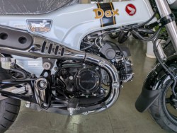 �z���_�_�b�N�X125�i���Q�����R�s�j�摜17