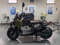 �z���_�Y�[�}�[�i���Q�����R�s�j�摜3