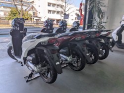 �z���_ICON e:�i���Q�����R�s�j�摜12