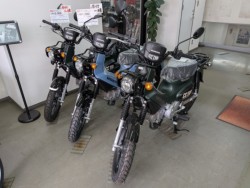 �z���_ICON e:�i���Q�����R�s�j�摜18