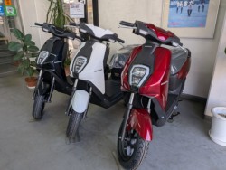 �z���_ICON e:�i���Q�����R�s�j�摜5