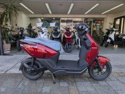 �z���_ICON e:�i���Q�����R�s�j�摜1