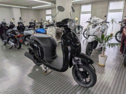 �z���_�W�����m�i���Q�����R�s�j�摜2