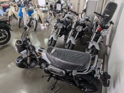 �z���_�����L�[125�i���Q�����R�s�j�摜12