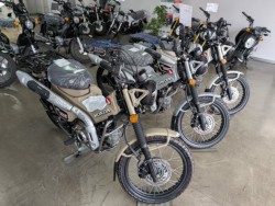 �z���_�����L�[125�i���Q�����R�s�j�摜13