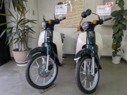 �z���_Super Cub 110 Lite�i���Q�����R�s�j�摜1