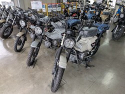 �z���_�����L�[125�i���Q�����R�s�j�摜14