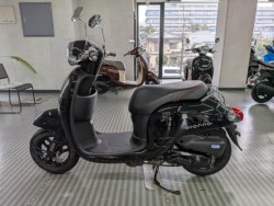 �z���_�W�����m�i���Q�����R�s�j�摜5