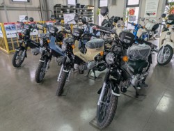 �z���_�����L�[125�i���Q�����R�s�j�摜18