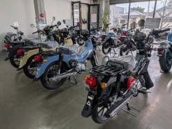 �z���_�����L�[125�i���Q�����R�s�j�摜20