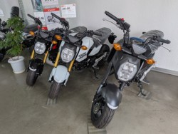 �z���_CT125�i���Q�����R�s�j�摜9