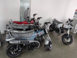 �z���_CT125�i���Q�����R�s�j�摜13