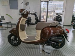 �z���_�W�����m�i���Q�����R�s�j�摜5