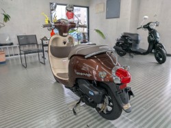 �z���_�W�����m�i���Q�����R�s�j�摜6