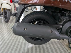 �z���_�W�����m�i���Q�����R�s�j�摜18