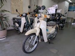 �z���_Super Cub 110 Lite�i���Q�����R�s�j�摜1