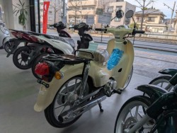 �z���_Super Cub 110 Lite�i���Q�����R�s�j�摜4