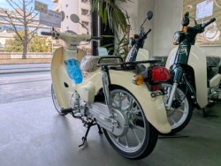 �z���_Super Cub 110 Lite�i���Q�����R�s�j�摜6