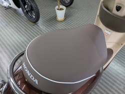 �z���_�W�����m�i���Q�����R�s�j�摜16