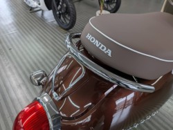 �z���_�W�����m�i���Q�����R�s�j�摜17