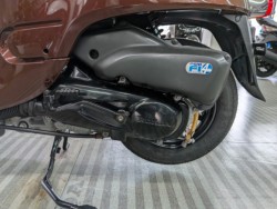 �z���_�W�����m�i���Q�����R�s�j�摜20