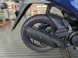 �z���_�f�B�I110�i���Q�����R�s�j�摜19