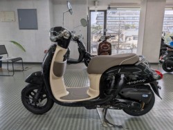 �z���_�W�����m�i���Q�����R�s�j�摜5